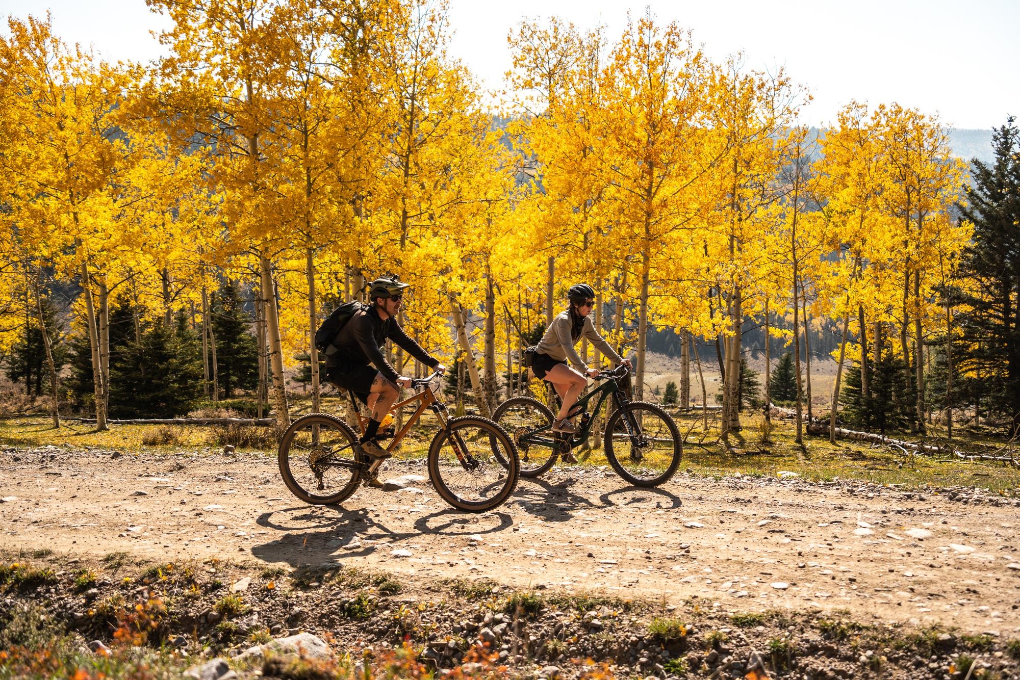 solo mtb in the fall