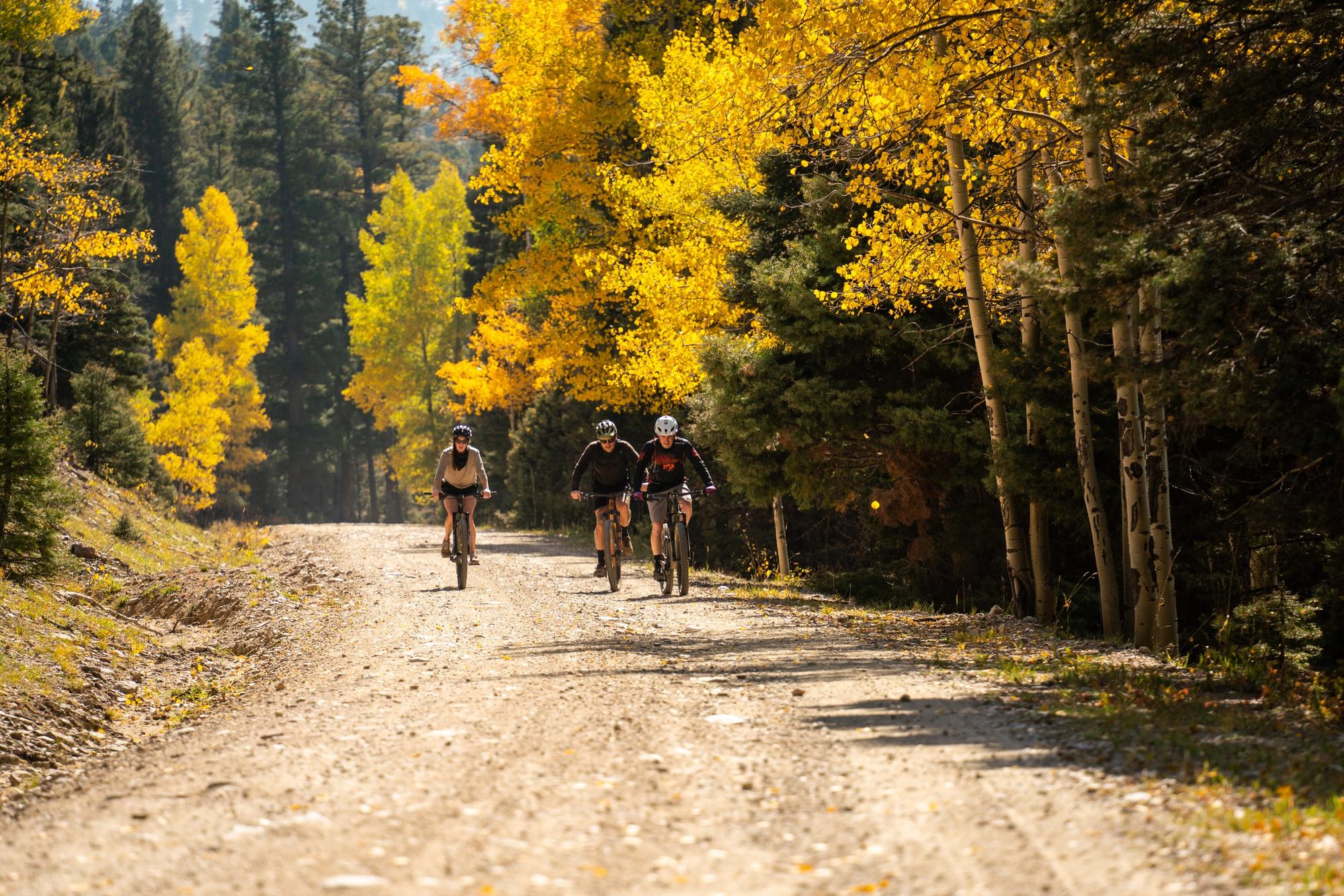 group mtb in the fall