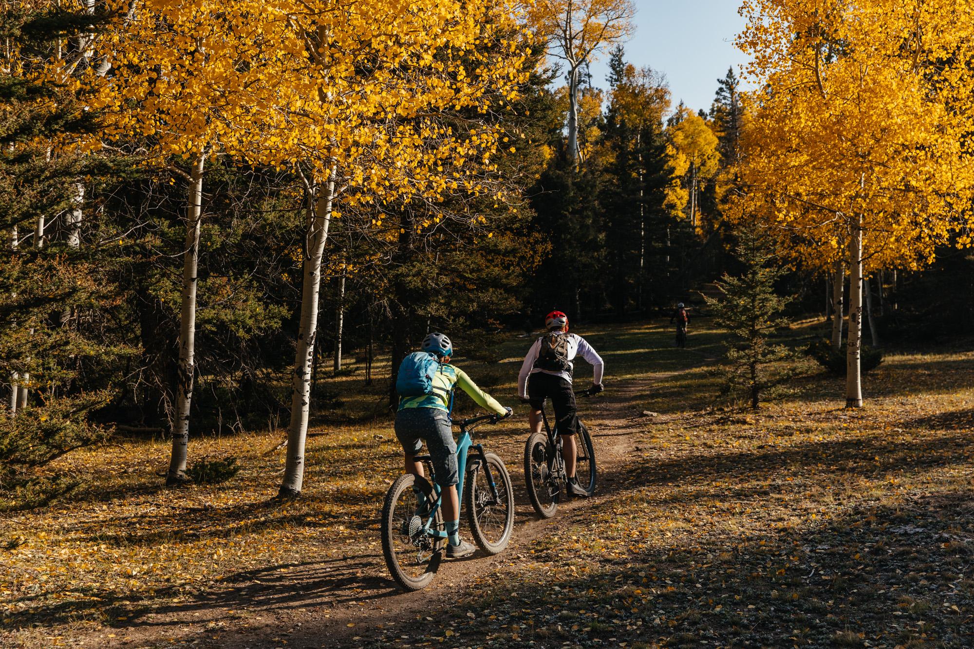three people riding mountain bikes outside